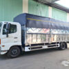 GIÁ XE HINO 6 TẤN 8 FC9JJTC THÙNG MUI BẠT 5.7M