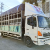 GIÁ XE HINO 6 TẤN FC9JLTC THÙNG CHỞ XE MÁY 6.6M